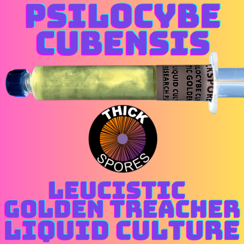Leucistic Golden Teacher Liquid Culture Syringe