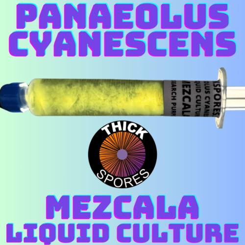 Mezcala Liquid Culture Syringe