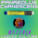 Mezcala Liquid Culture