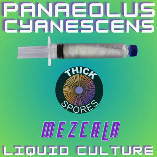 Panaeolus Cyanescens Mezcala Liquid Culture 10cc