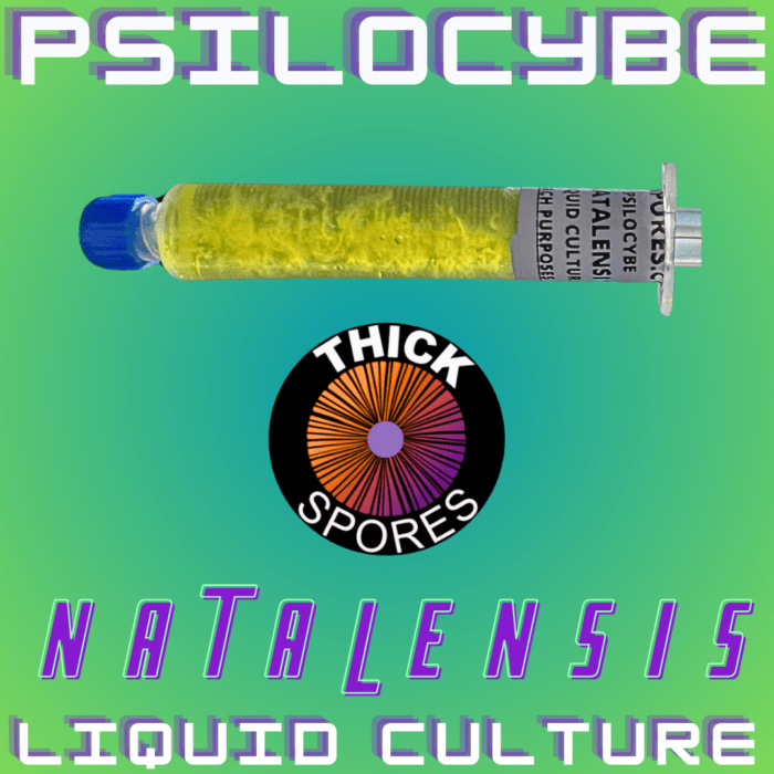 Natalensis Liquid Culture Syringe