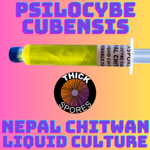 Nepal Chitwan Liquid Culture Syringe