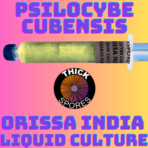 Orissa India Liquid Culture Syringe