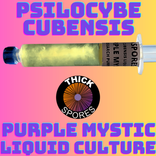 Purple Mystic Liquid Culture Syringe