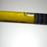 Panaeolus Cyanescens: TTBVI Liquid Culture Syringe product video thumbnail