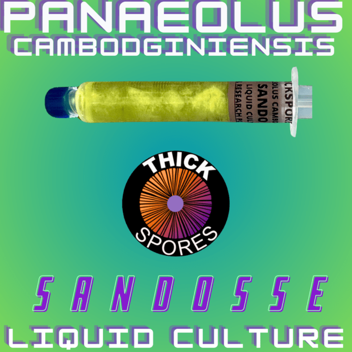 Sandose Liquid Culture