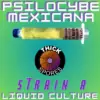 Psilocybe Mexicana: Strain A Liquid Culture Syringe