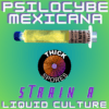 Psilocybe Mexicana: Strain A Liquid Culture Syringe