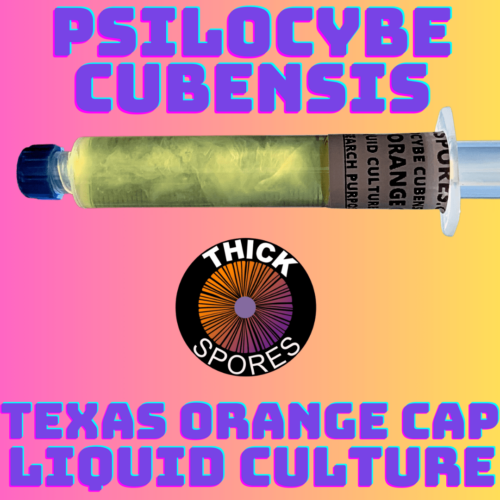 Texas Orange Cap Liquid Culture Syringe