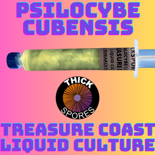 Treasure Coast Liquid Culture Syringe