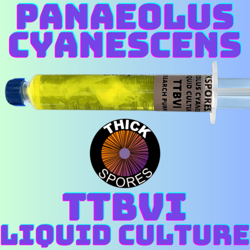 TTBVI Liquid Culture Syringe