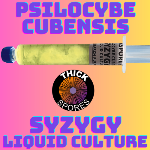Syzygy Liquid Culture Syringe