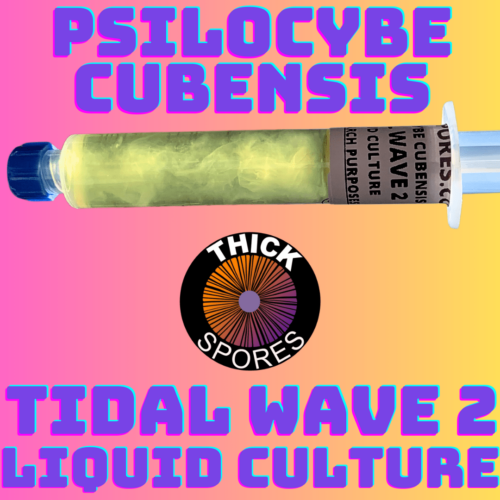 Tidal Wave 2 Liquid Culture Syringe