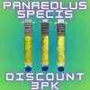 3 Pack Panaeolus Customers Choice 30% OFF Liquid Culture Syringes