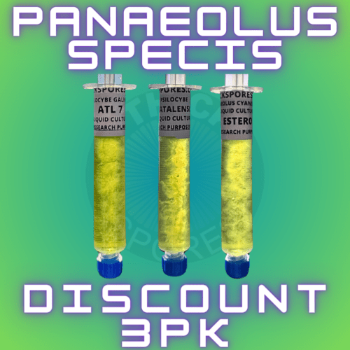 Pan Species Discount 3pk Liquid Culture Syringes