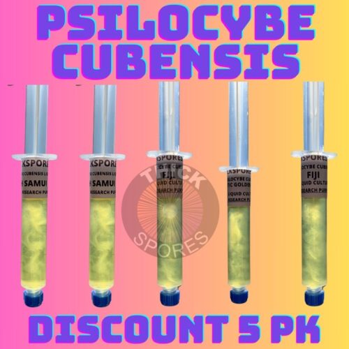 psilocybe cubensis mushroom liquid culture customer choice 5 pack