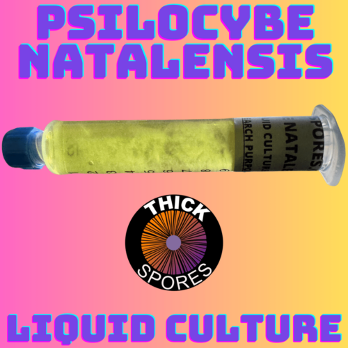 psilocybe natalensis liquid culture syringe