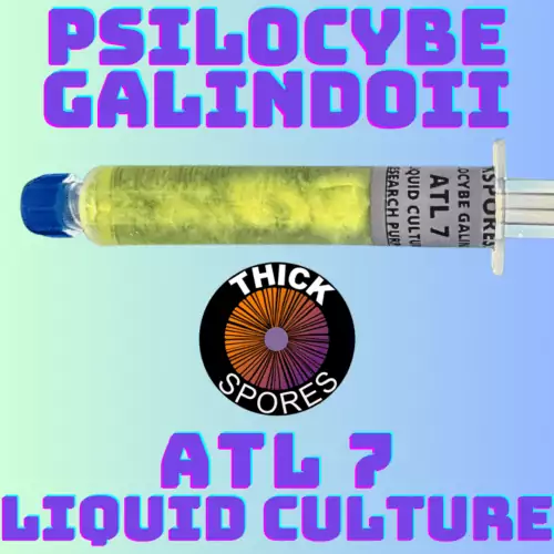 Psilocybe Galindoi ATL7 Liquid Culture Sryinge