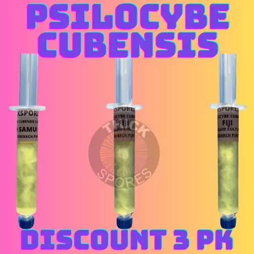 psilocybe cubensis mushroom liquid culture discount 3 pack