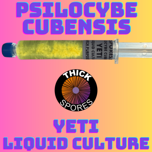 yeti liquid culture syringe
