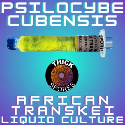 African Transkei Liquid Culture Syringe