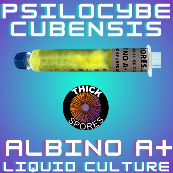 Albino A+ Liquid Culture