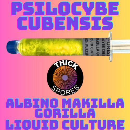 Albino Makilla Gorilla Liquid Culture Syringe