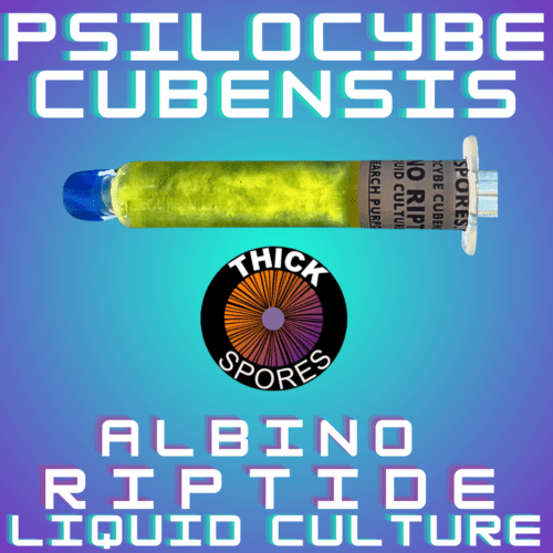 Albino Riptide Liquid Culture Syringe