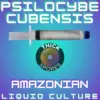 Amazonian Liquid Culture 10cc