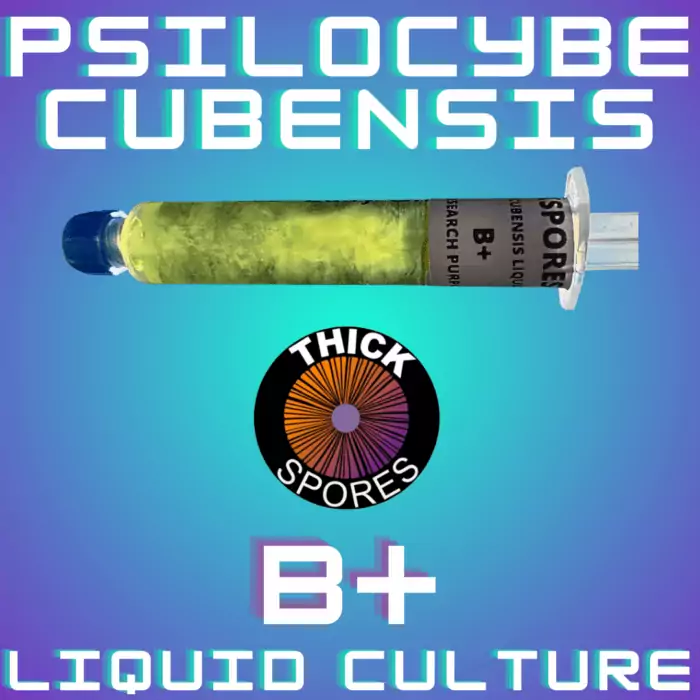 B Plus Liquid Culture