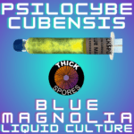 Blue Magnolia mushroom Liquid Culture