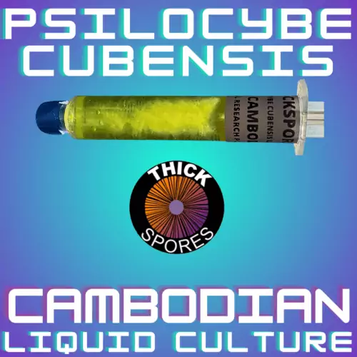 Cambodian Liquid Culture Syringe