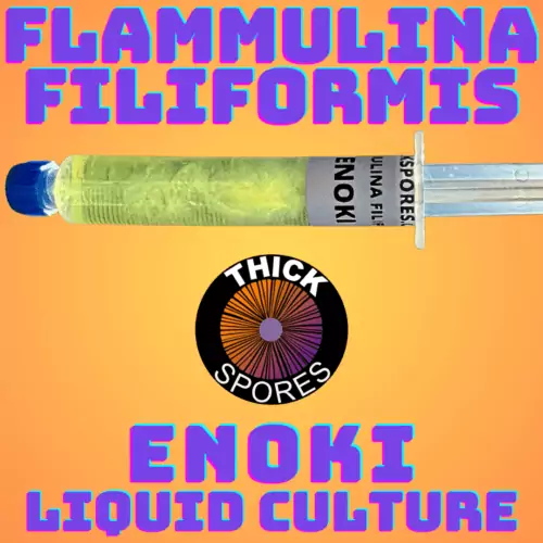 Enoki Liquid Culture Syringe