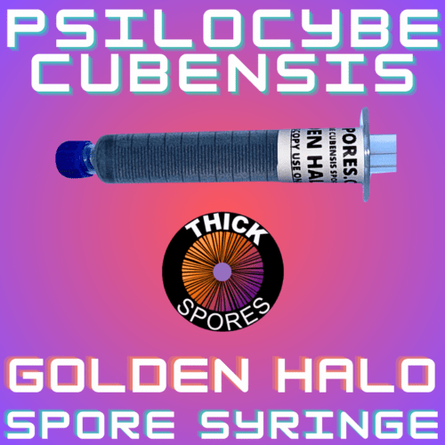 Golden Halo Spore Syringe