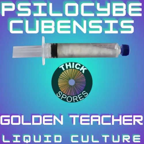 Golden Teacher Liquid Culture 10cc