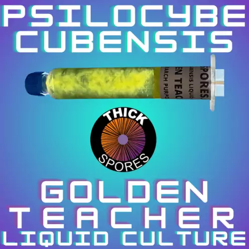 Golden Teacher Liquid Culture Syringe