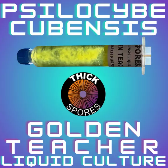 Golden Teacher Liquid Culture