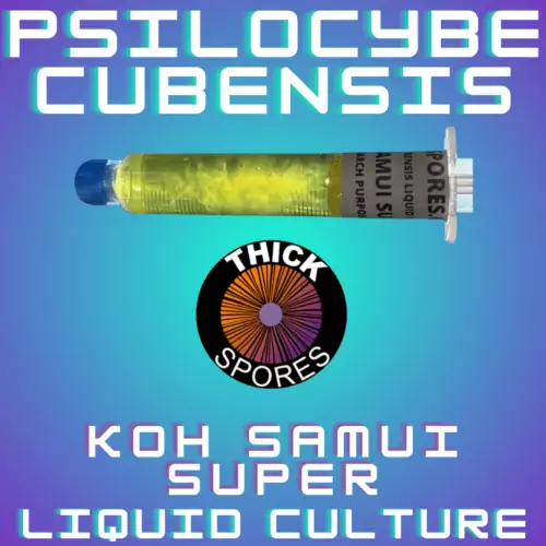 Koh Samui Super Liquid Culture Syringe