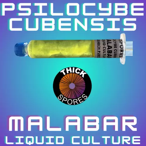 Malabar Liquid Culture Syringe