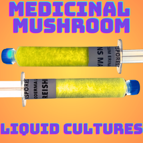 Medicinal Mushroom Liquid Cultures