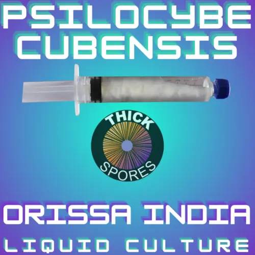 Orissa India Liquid Culture 10cc