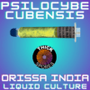 Orissa India Liquid Culture Syringe