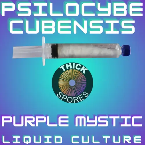 Purple Mystic Liquid Culture 10cc