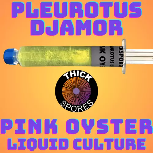 Pink Oyster Liquid Culture Syringe