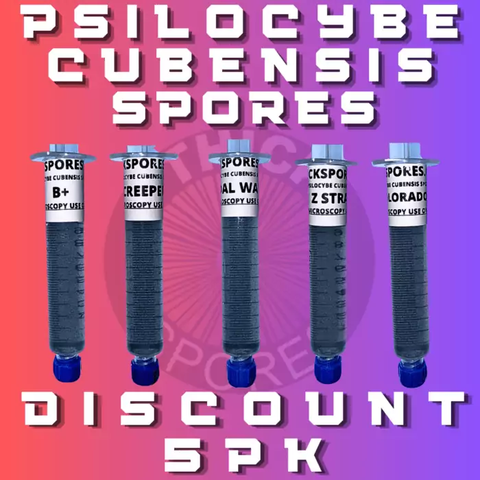 SPORES DISCOUNT 5PK