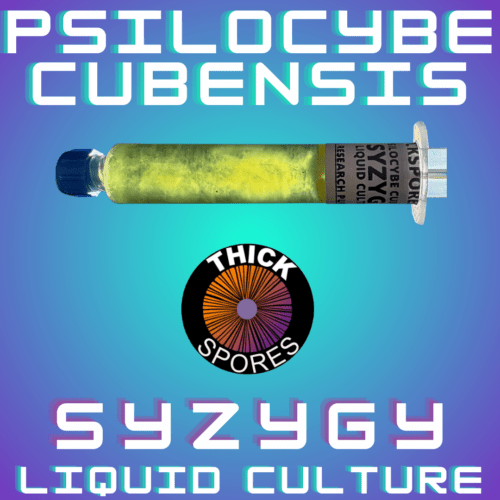 Syzygy Liquid Culture Syringe