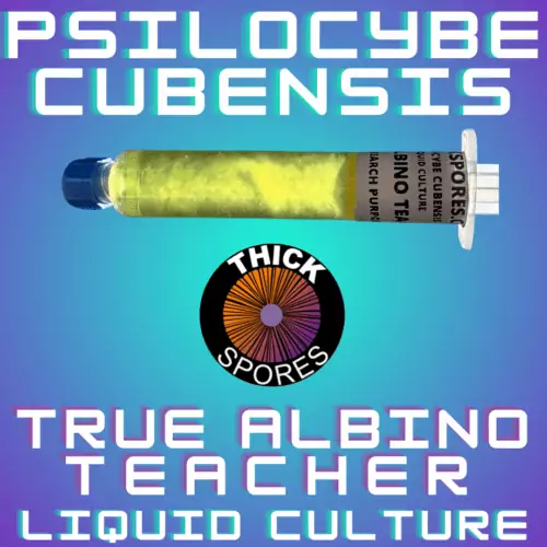 True Albino Teacher Liquid Culture Syringe