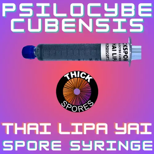 Thai Lipa Yai Spore Syringe