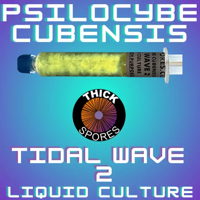 Tidal Wave 2 Liquid Culture