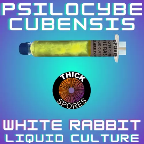 White Rabbit Liquid Culture Syringe